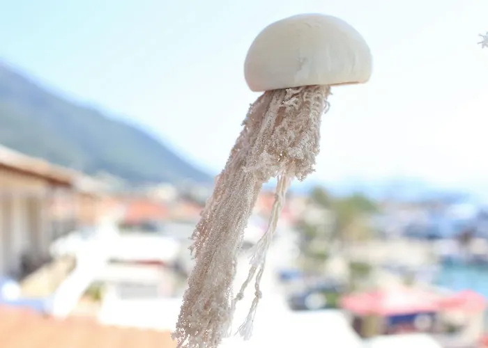 Thalassaki House * ニドリ